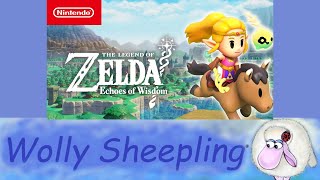 The Legend of Zelda: Echoes of Wisdom Nintendo Switch Vertical