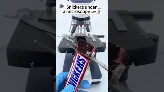 Snickers under a microscope #shorts #facts #science