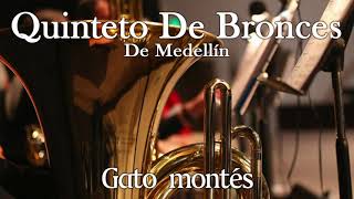 QUINTETO DE BRONCES DE MEDELLIN - GATO MONTES