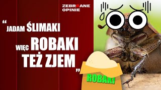 Czy Polacy będą jeść robaki? [ZEBRRANE OPINIE]