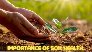 Harmonizing Life: The importance of Soil Health | Agri World Time