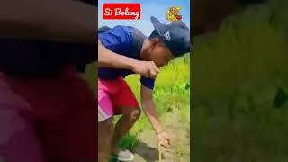 Serunya Mancing Belut di Spot Perawan #39 #shorts #kookiko