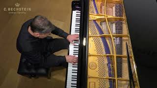 Pianist Walter Pfann spielt Schubert B-Dur