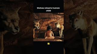 Raised by Wolves: The Astonishing Journey of Human Babies and Wild Wolves 🐺👶"