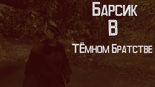 Стрим! Путешествие Барсика в Тёмном Братстве