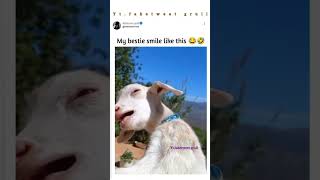 POV:-My bestie smile is like that👻😅😂funny relatable aesthetic Whatsapp status#sharewithfriends