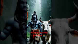 जय शिव शंकर |#shivtemple #shiv #shivshankar #devotional #vlog #song #god #savan #haridwar #ganga