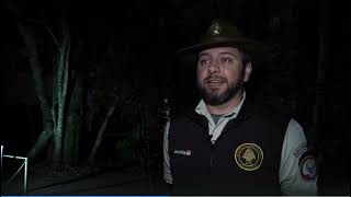 Pasear bajo la luna llena por las Cataratas de Iguazú, una experiencia sensorial