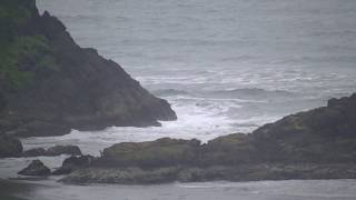 Cape Disappointment - Ilwaco, Washington