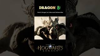 Dragon Hogwarts Legacy #shorts