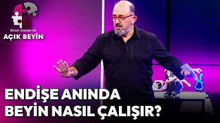 Endişe Anında Beyin Nasıl Çalışır? | Sinan Canan ile Açık Beyin