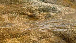 Yellowstone   Mammoth terraces