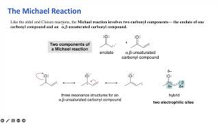 Michael Reaction  [Hindi], mechanism, Robinson annulation