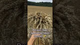 Букетик-снопик🌾