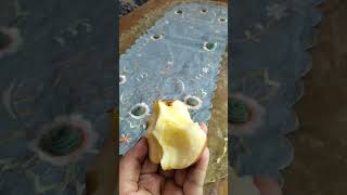 Apel #asmr #apple #yummy #delicious #fruit #fruits #makankenyang #sukamakan #makanterusss  #juice