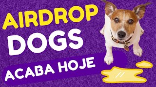 AIRDROPS DOGS ULTIMO DIA, EXPECTATIVA DE 100 A 400$ DE AIRDROPS. RAPIDO E FÁCIL DE CLAMAR.