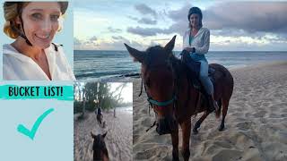 Sunset Horseback Riding: O'ahu Hawaii