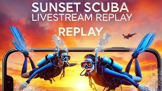 Super Shark Murky Dive (TT Livestream Replay 9/12/24)