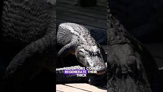 alligators regeneration  #animals #facts #funfacts