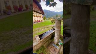 Beautiful Austria Farm house #shortsfeed #shortvideo #austria #europe #shorts #short#farm #farmhouse