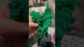 Crochet Fern Plant #crochet #entertainment#diy #fun #crocheting #craft #shortvideo #shorts#homemade