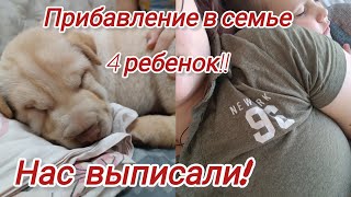 У нас пополнение 🤫Нас выписали 💚4 ребенок