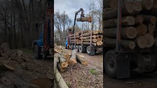 IT IS A LOG HAULING DAY to the SAWMILL! #logtruck #sawmill