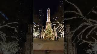 Chicago Christmas trees #Christmas #chicago #holidays #chirstmastree #winter