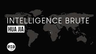 Intelligence Brute: Hua Jia (Française)