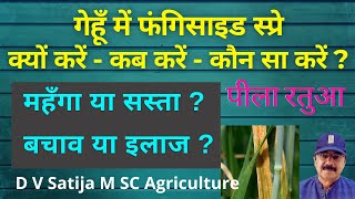 Gehu me pila ratua se bachav & ilaj | गेहूँ में पीला रतुआ कंट्रोल | yellow rust of wheat control |