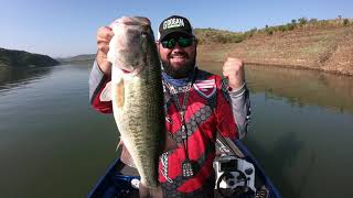 Missile Baits Quiver at Bivane Dam 4K