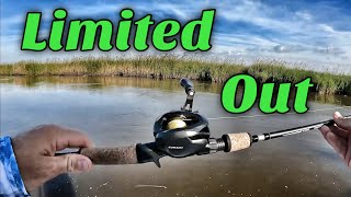 We caught a LIMIT.... and then did it again..... inshore fishing