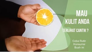 Mau Kulit Terlihat Cantik dan Bugar Setiap Hari? Coba Rutin Konsumsi Buah Ini