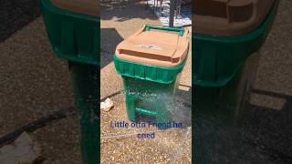 here's my little otto friend #funny #comedy #tiktok #garbage #garbagebin