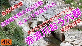 観光29.【赤波川おう穴群】（あがなみがわおうけつぐん）鳥取市用瀬町　天然記念物　　白亜紀末期（約8,000万年前）の火山活動によって形成された