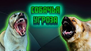 Собачья угроза Dota 2/Alias