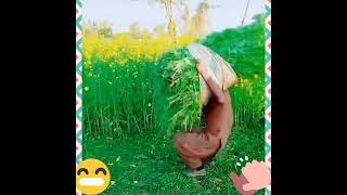 Brave kasan in village 😲😲💠🤩🤩😂🤣🤣🤩🤩🤩🤩🤩🤩🤩🤩🤩😍😍