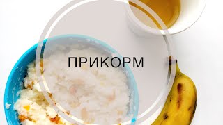 Прикорм || от 6 до 10 месяцев