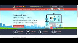 zetpay - обман онлайн, кидалово, лох, зарабатывать, работа, заработать, лохотрон, разводка