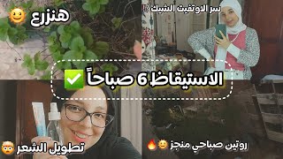 الاستيقاظ 6 صباحاً ✅ روتين صباحي منجز 🔥 زراعة ~ سر الاوتفيت الشيك ~ ازاي طولت شعري ✨ منة يسري Menna