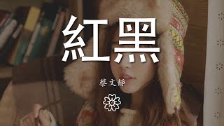 蔡文靜 - 紅黑『掙脫 衝破 眼前 這現實的堡壘』【動態歌詞Lyrics】