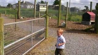 Sebastian at the Kiddie Farm, Tramore, 3 of 3