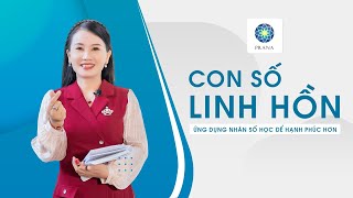 Con Số Linh Hồn | Ứng Dụng Để Hiểu Và Thay Đổi Cuộc Sống Cùng Nhân Số Học