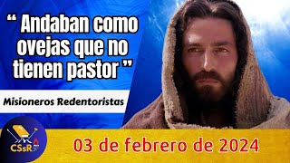 Evangelio de HOY sábado 3 de febrero. Lc 2,22-40. "Andaban como ovejas que no tienen pastor".