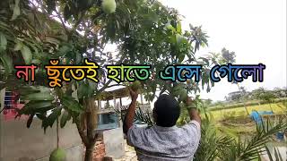 এতো স্বাদ আপনি কোথায় পাবেন। #smpbstv