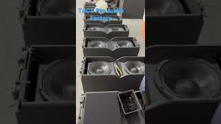 Dual 10 inch line array sound system in production