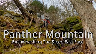 Bushwhacking Panther Mountain Via The Steep East Face