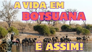 Assim é a Vida em Botsuana: O Paraíso Escondido da África com Safáris Incríveis