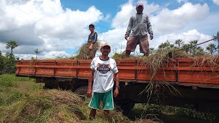 fretamos o caminhão 🚛