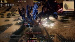 Black Desert Online - Maehwa Boss Fight